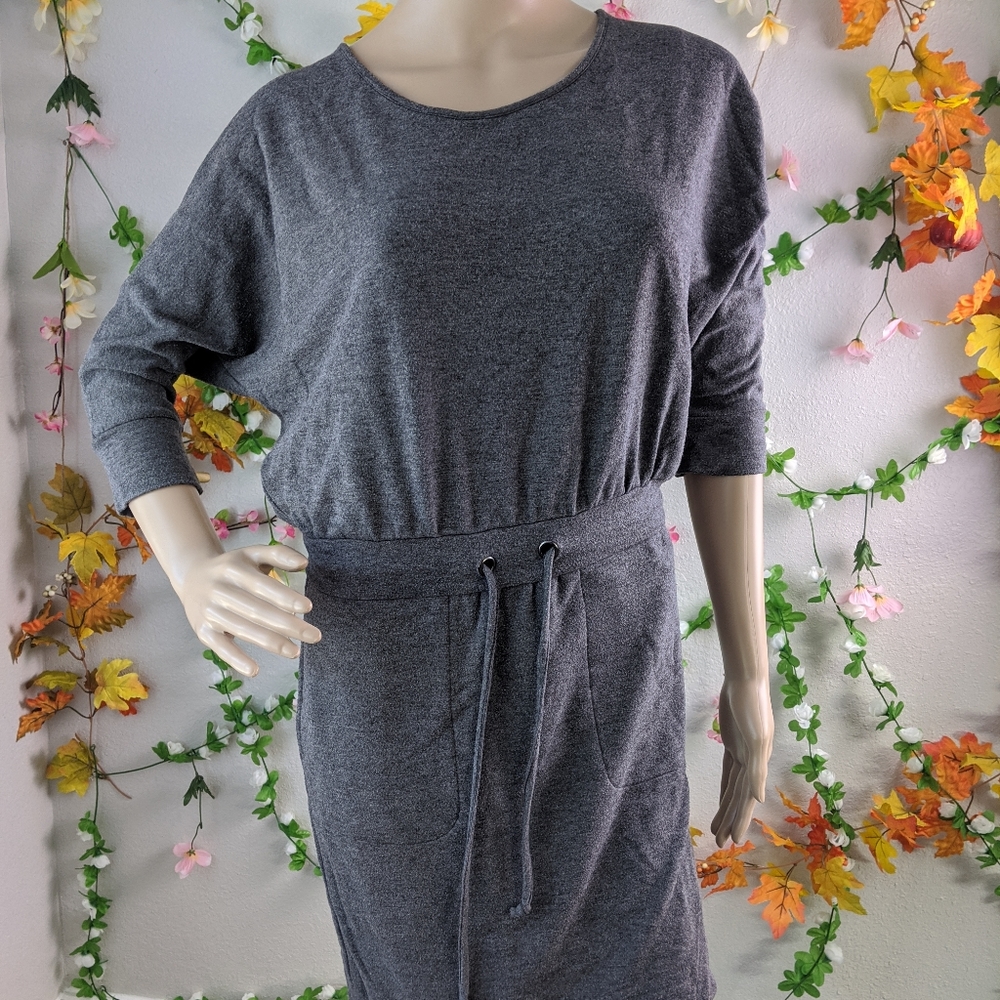 NWOT SWEATSHIRT DRESS SUMMER & SAGE